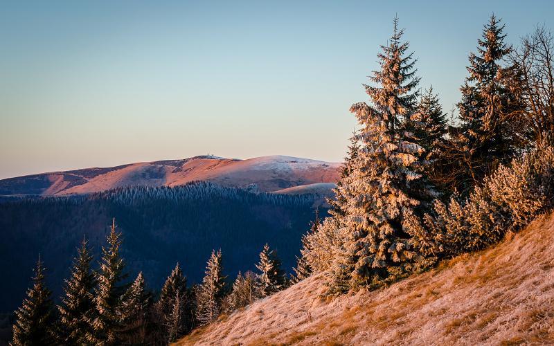 Chata Horec Liptovske Revuce Exteriér fotografie
